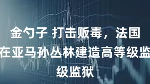 金勺子 打击贩毒，法国拟在亚马孙丛林建造高等级监狱