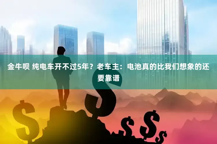 金牛呗 纯电车开不过5年？老车主：电池真的比我们想象的还要靠谱