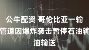 公牛配资 哥伦比亚一输油管道因爆炸袭击暂停石油输送