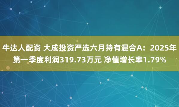 牛达人配资 大成投资严选六月持有混合A：2025年第一季度利润319.73万元 净值增长率1.79%